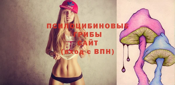 прущая мука Бородино