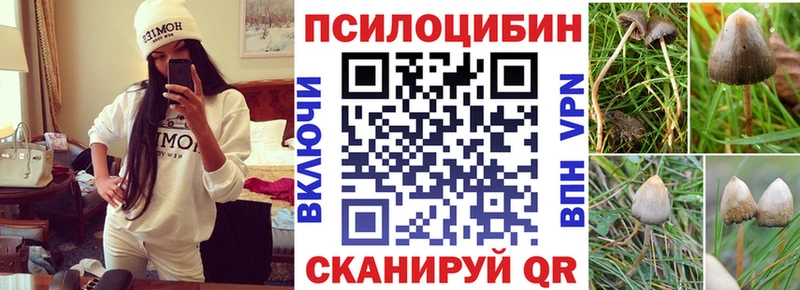 Псилоцибиновые грибы Cubensis  Сосногорск 